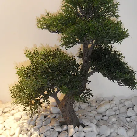 Gbc Avenida Pontevedra